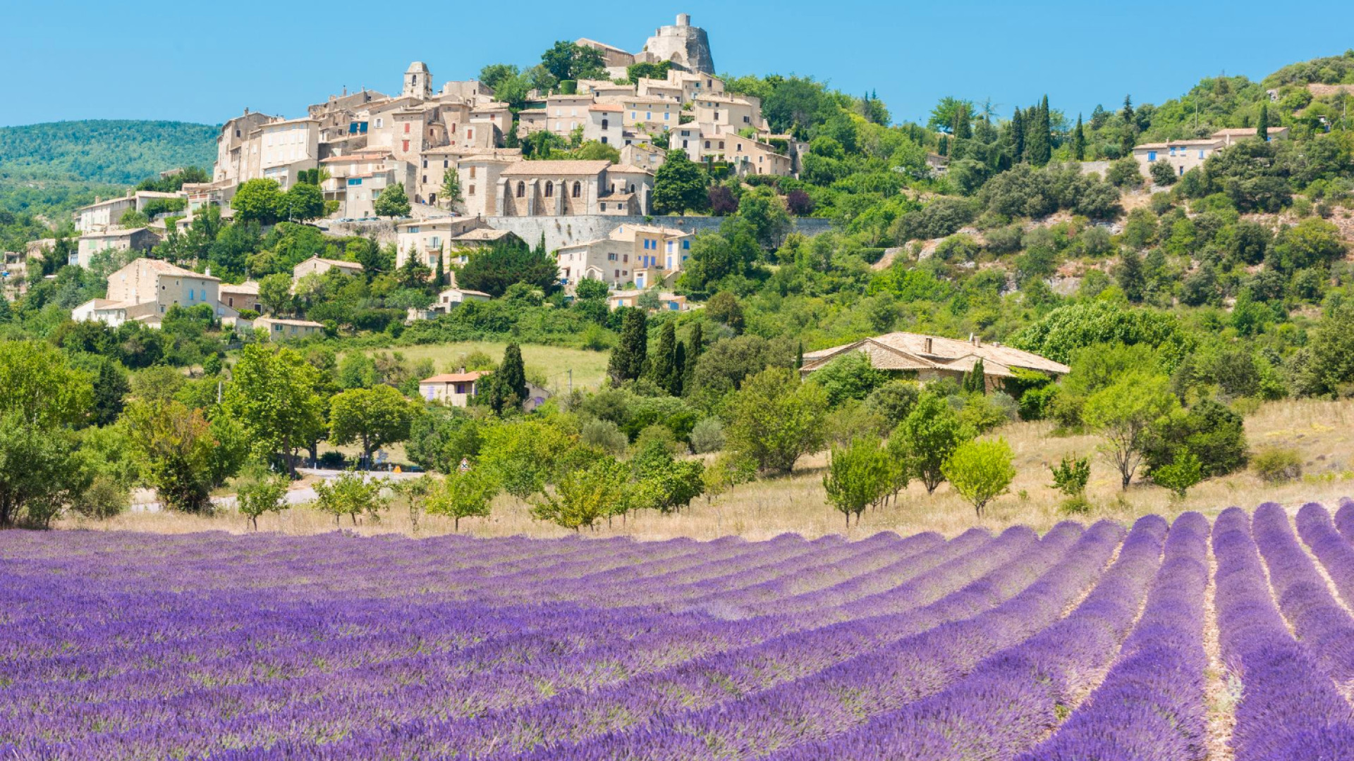 Vacances en Provence : pourquoi choisir le camping ?